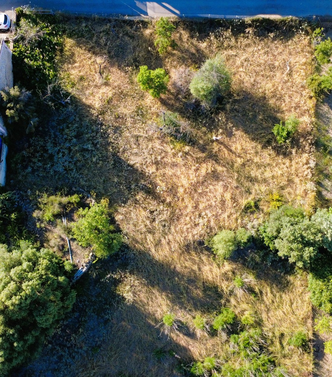 Land in Palma, Balearic Islands, Spain 2 - 17925422