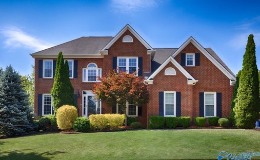 House in Madison, Alabama, United States 1