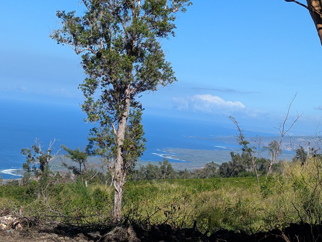 House in Captain Cook, Hawaii, United States 3 - 17919750