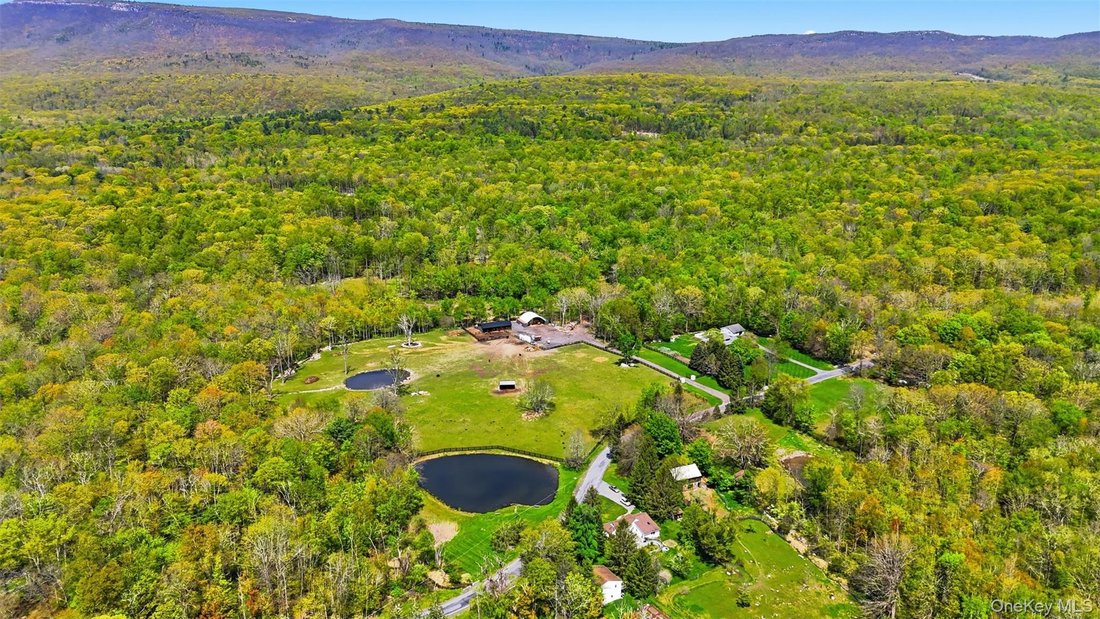 House in Pine Bush, New York, United States 2 - 17925624