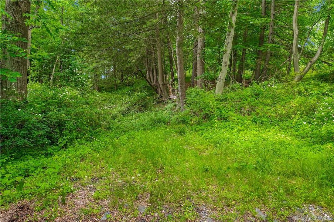 Land in Mount Kisco, New York, Vereinigte Staaten 2 - 17846515