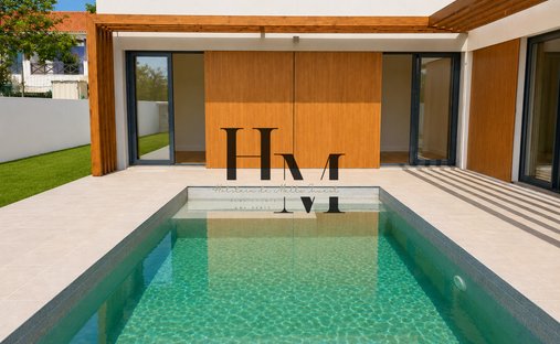 House in Santo Estevao, Santarem District, Portugal 1