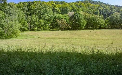Land in Thompson's Station, Tennessee, United States 1
