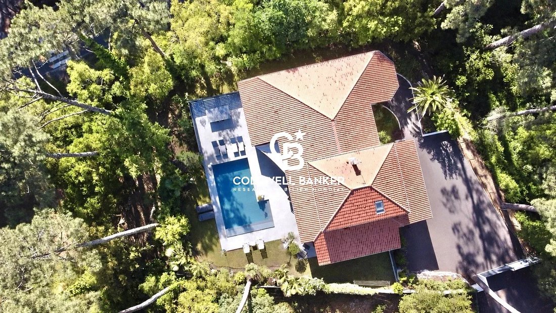 Villa in Soorts-Hossegor, Nouvelle-Aquitaine, France 1 - 17923655