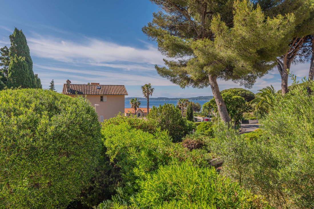 House in Nartelle-Noyer-Bellevue-bd des Sardinaux, Sainte-Maxime, France 3 - 17926823