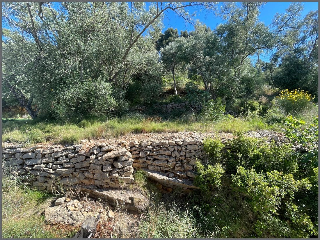 House in Le Revest-les-Eaux, Provence-Alpes-Côte d'Azur, France 3 - 17927799