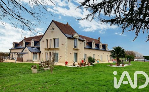 House in Neuillé-Pont-Pierre, Centre-Val de Loire, France 1