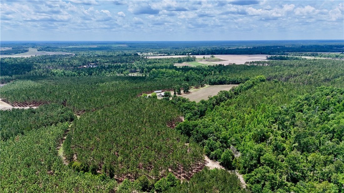 Farm Ranch in Lumber City, Georgia, United States 1 - 17927339