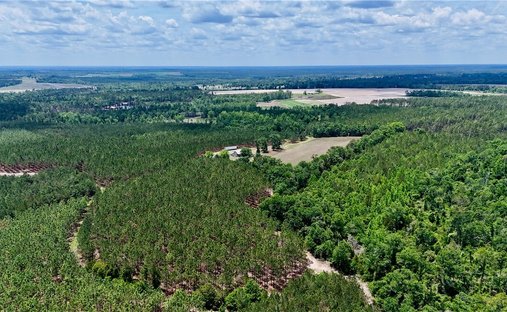 Azienda agricola a Lumber City, Georgia, Stati Uniti 1