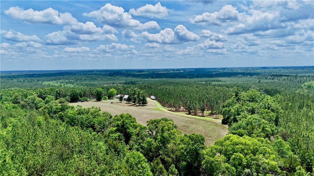 Farm Ranch in Lumber City, Georgia, United States 3 - 17927339