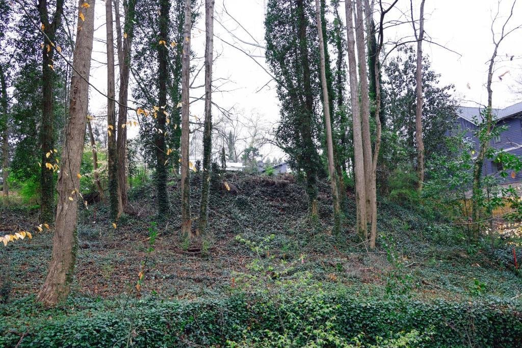 House in Brookhaven, Georgia, United States 5 - 17927079