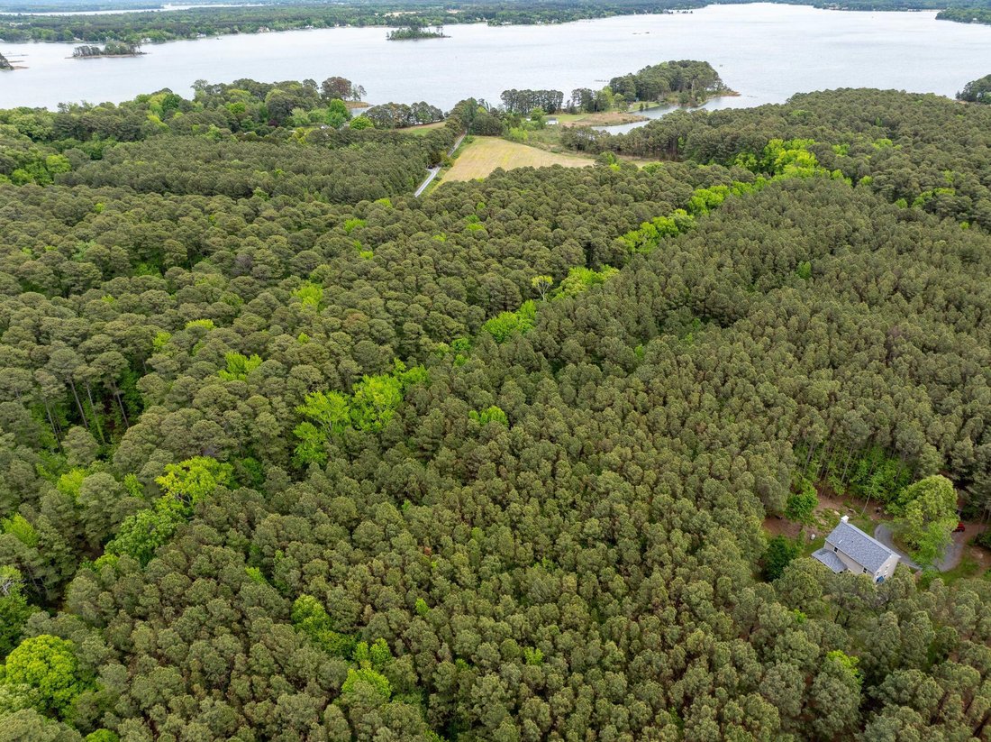 Land in Bozman, Maryland, United States 5 - 17927226