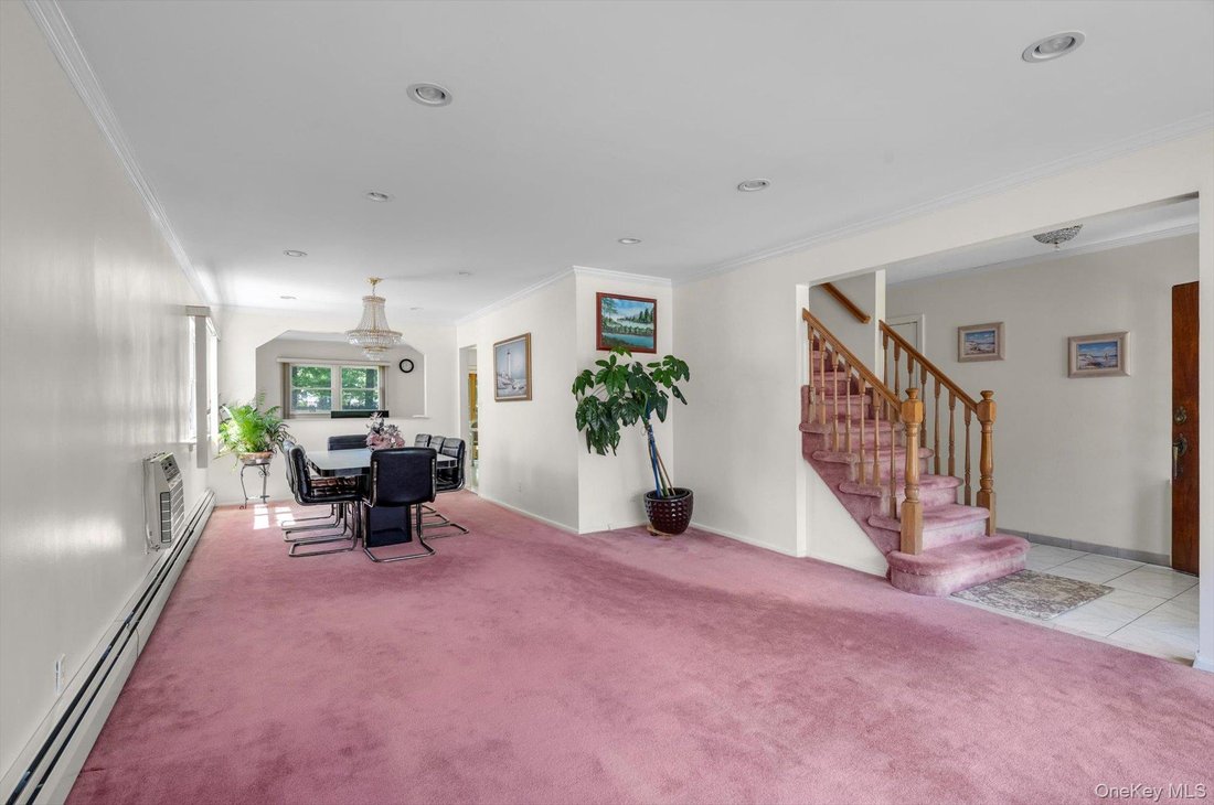 House in New Hyde Park, New York, United States 4 - 17927474