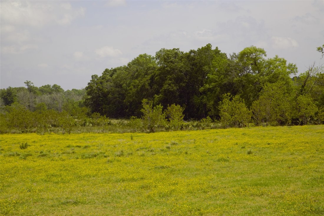 Land in Corrigan, Texas, United States 4 - 17927481