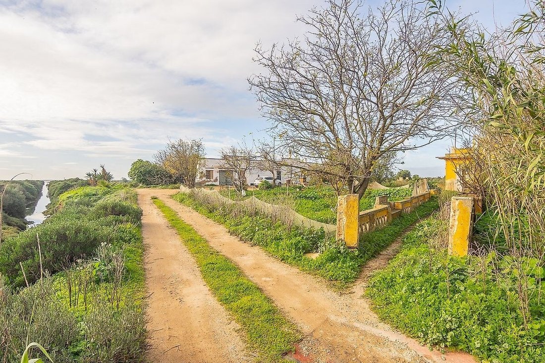 Villa in Pechao, Algarve, Portugal 1 - 13675435