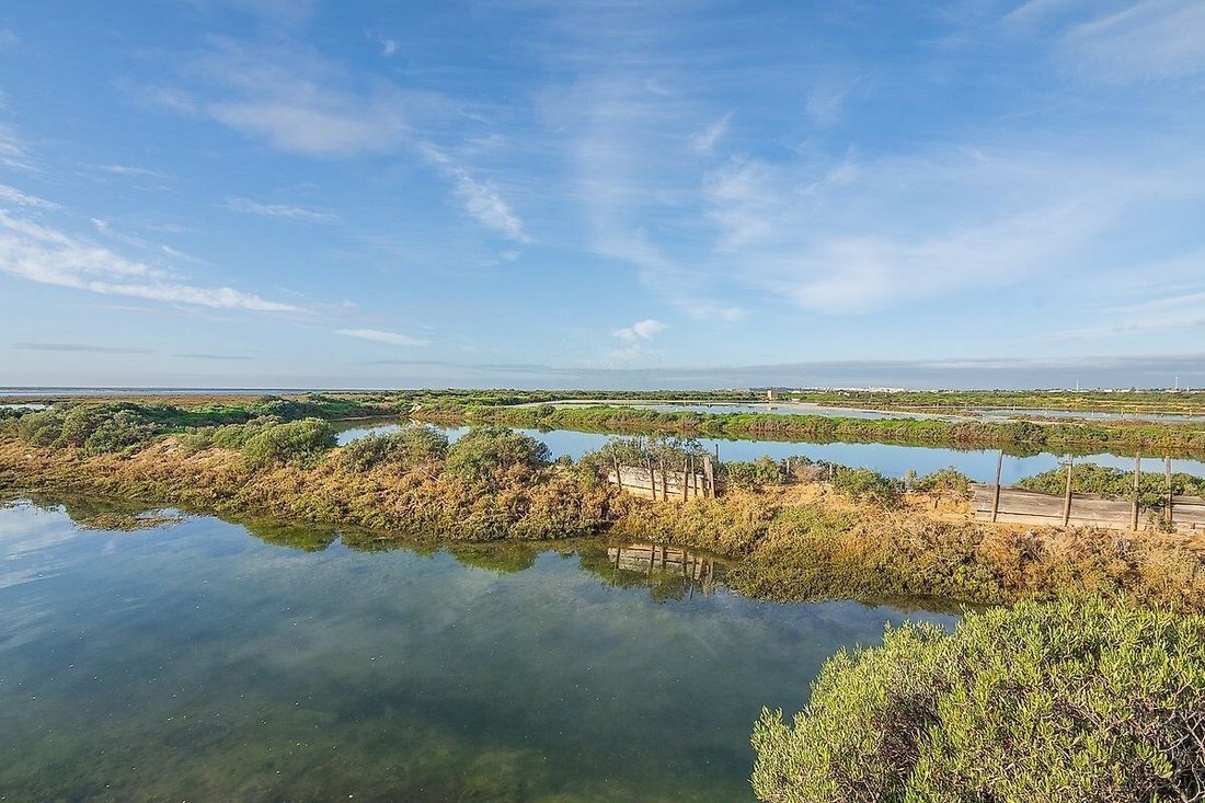 Villa in Pechao, Algarve, Portugal 4 - 13675435