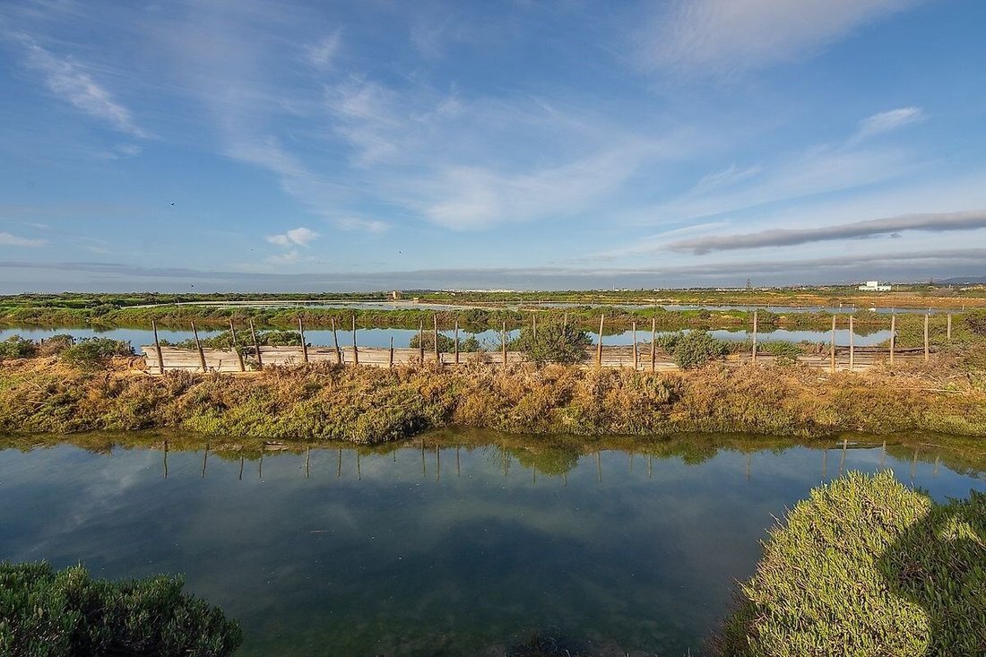 Villa in Pechao, Algarve, Portugal 5 - 13675435