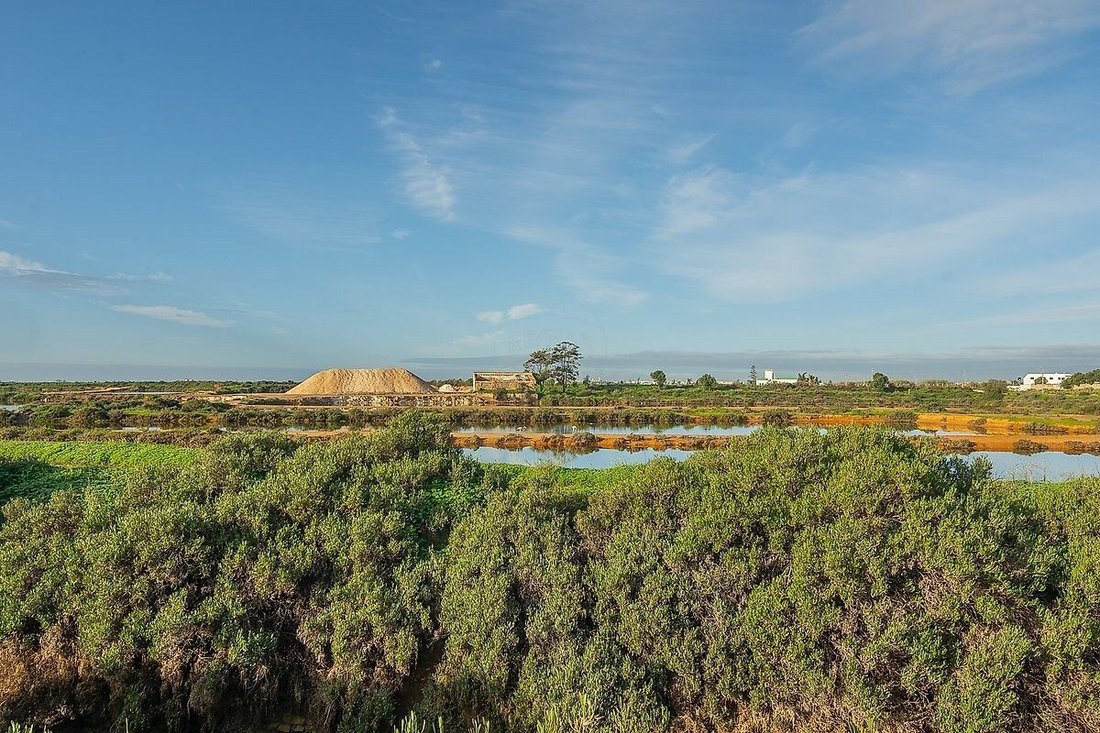 Villa in Pechao, Algarve, Portugal 2 - 13675435