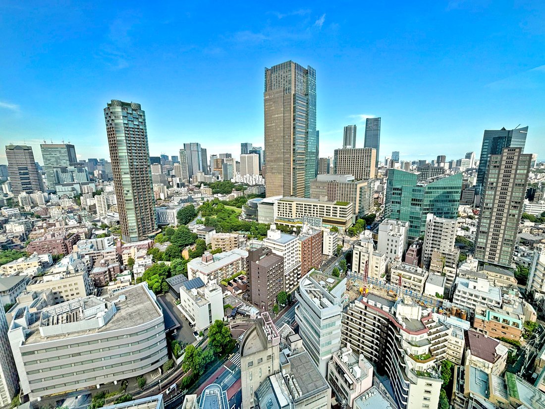 Penthouse in Minato City, Tokyo, Japan 5 - 17944578