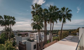 House in Sierra Blanca, Marbella, Spain 1
