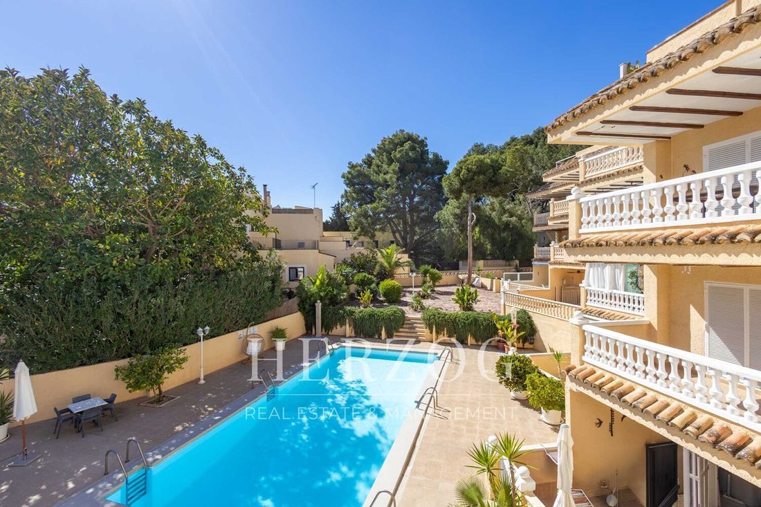 Apartment in Cala Fornells, Calvia, Balearic Islands 2 - 16256669