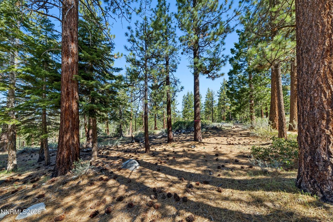 Townhouse in Glenbrook, Nevada, United States 5 - 17932588