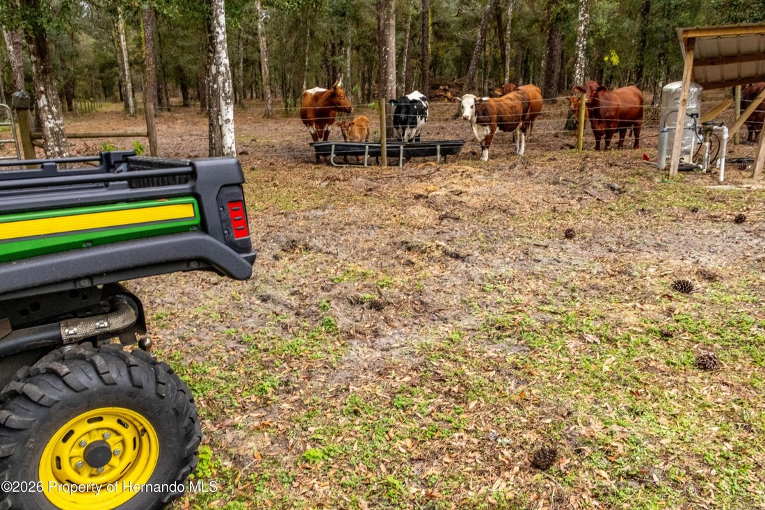 Land in South Brooksville, Florida, United States 3 - 17930558