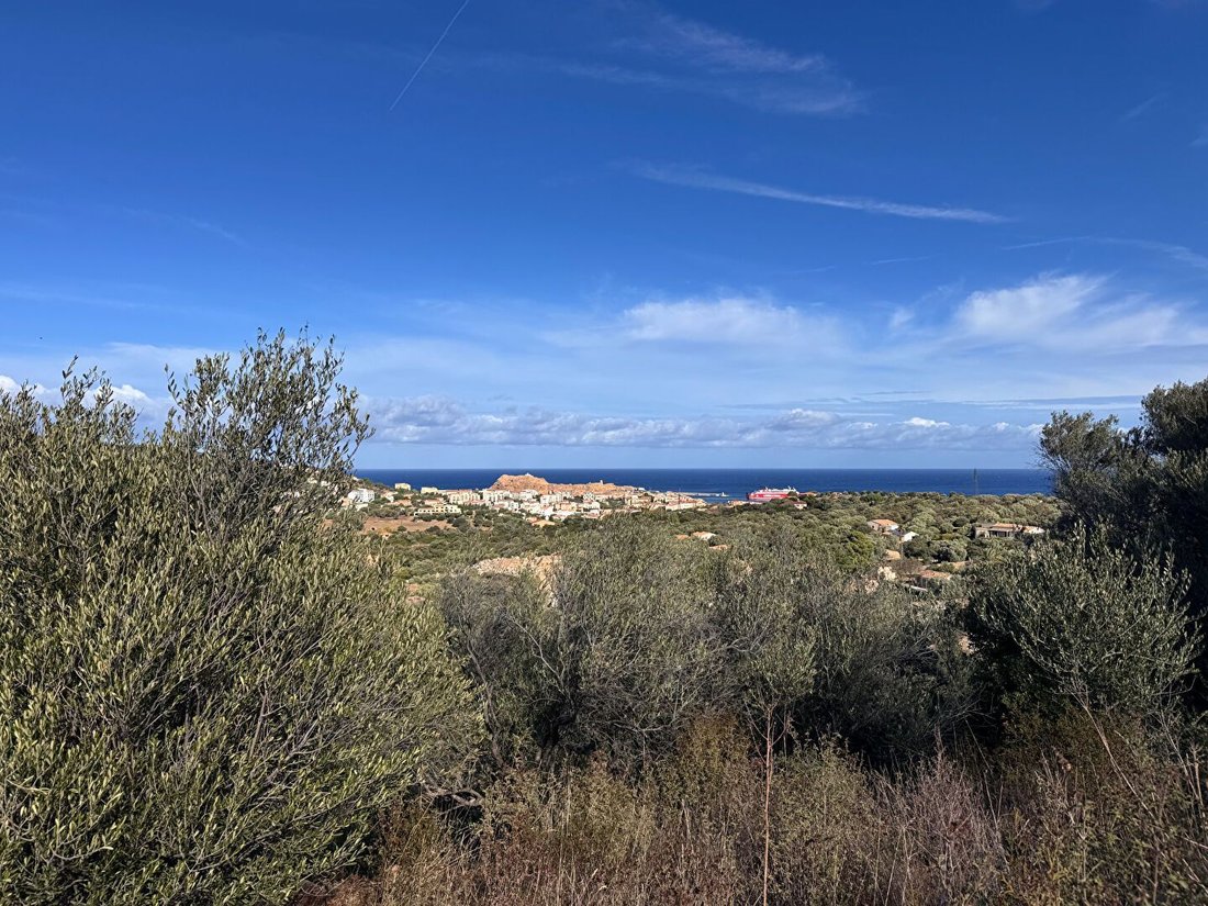 Land in Santa-Reparata-di-Balagna, Corsica, France 1 - 16582418