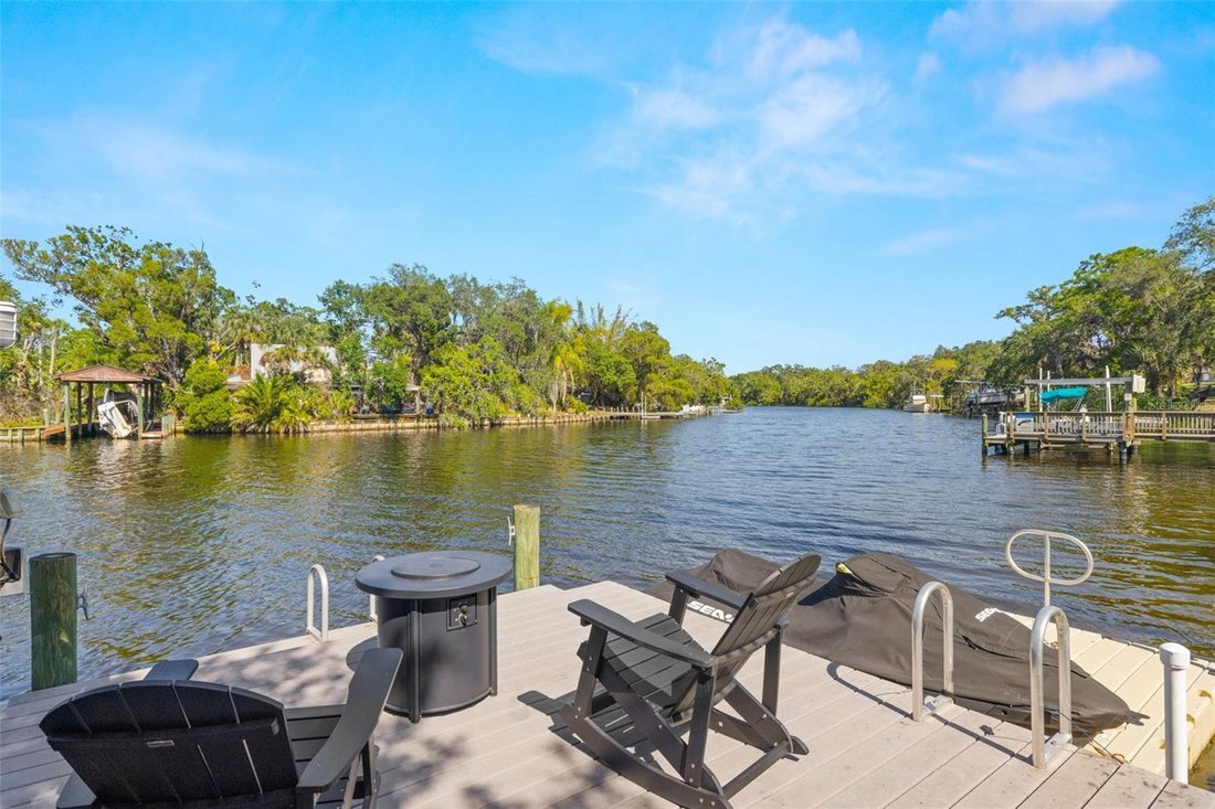 House in Tampa, Florida, United States 3 - 17928845