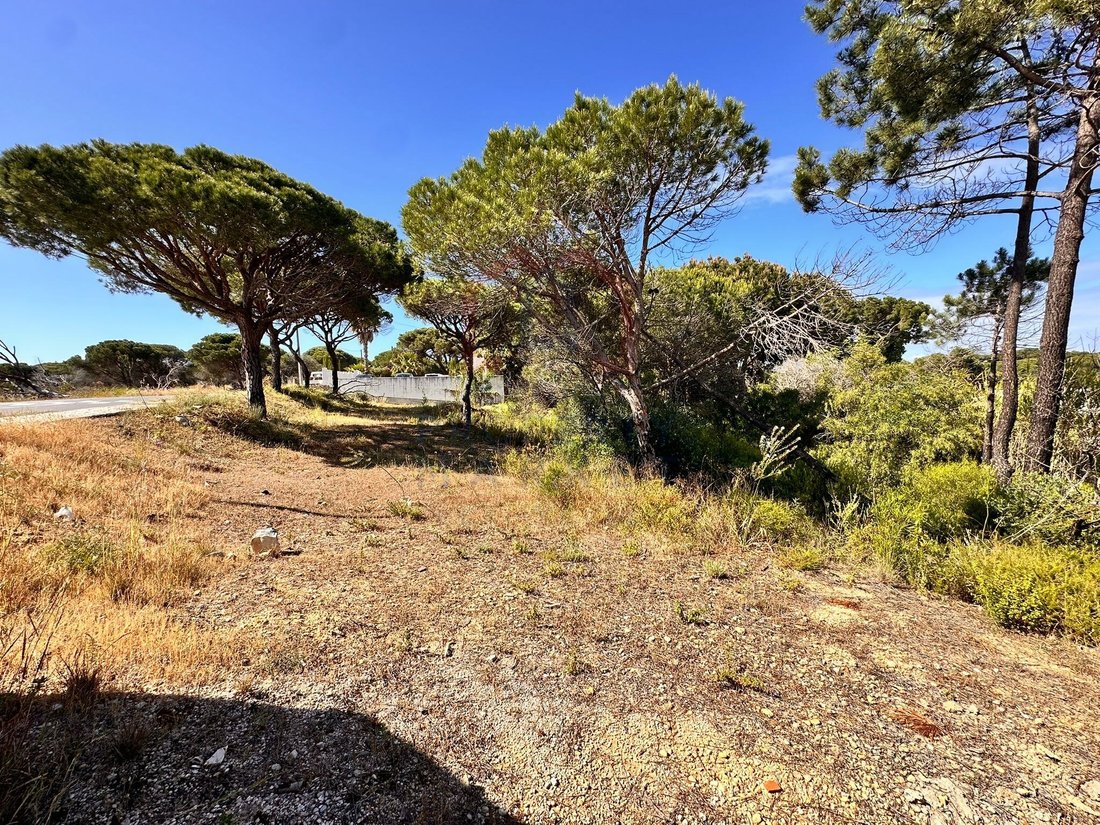 Land in Almancil, Algarve, Portugal 1 - 17930829