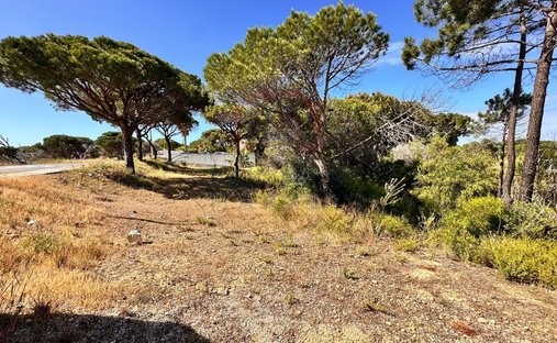 Terrain à Almancil, Algarve, Portugal 1