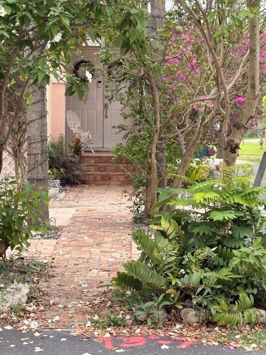 House in Miami, Florida, United States 3 - 17875846