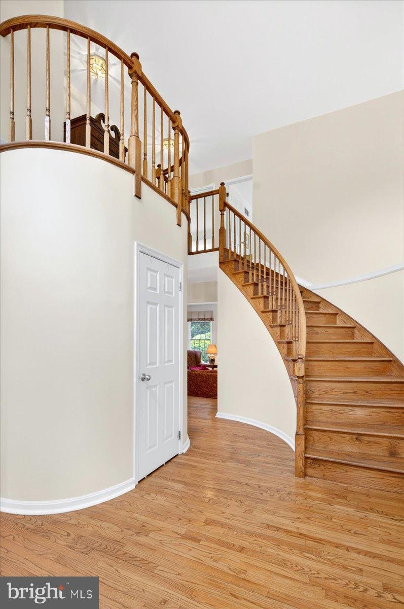 Pennington, New Jersey, United States 5 - 17929426