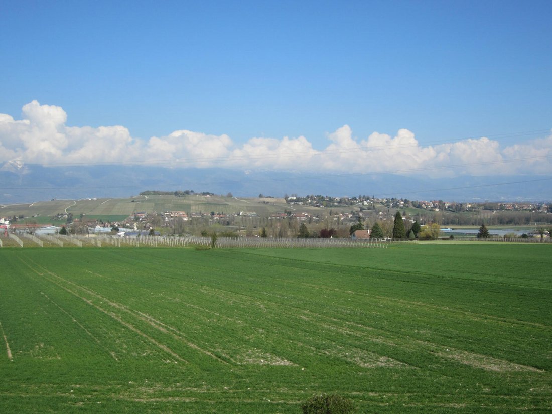 Apartment in Saint-Julien-en-Genevois, Auvergne-Rhône-Alpes, France 4 - 15502973