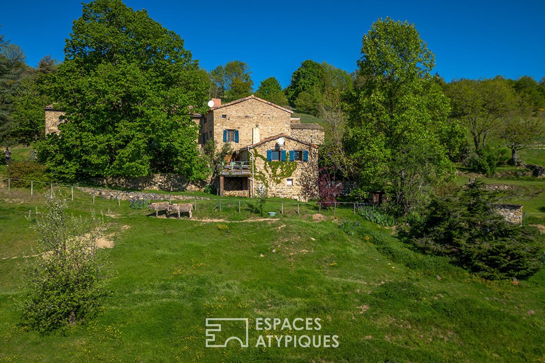 Villa in Villevocance, Auvergne-Rhône-Alpes, France 2 - 17935302