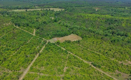 Land in Prattville, Alabama, United States 1