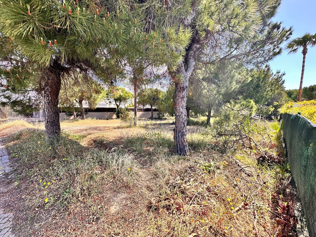 Land in Almancil, Algarve, Portugal 3 - 17930817