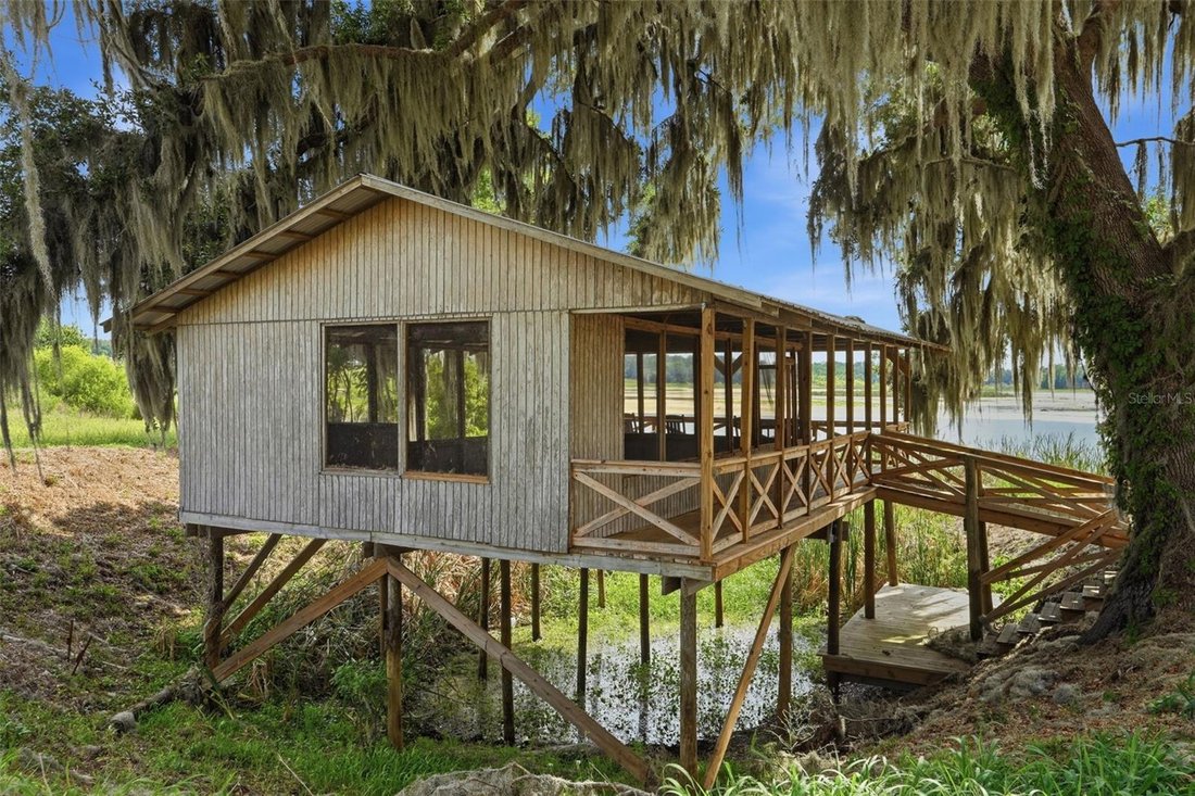 House in Dade City, Florida, United States 5 - 17943562