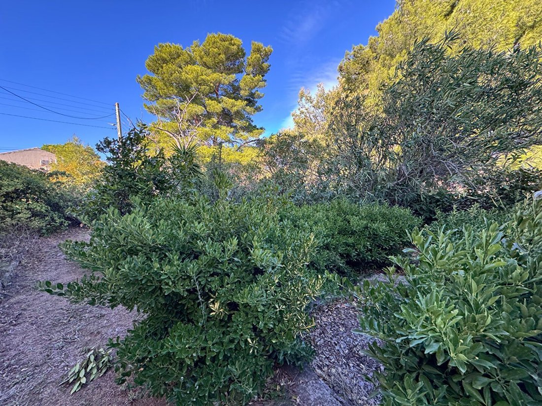 Villa in L'Île-Rousse, Corsica, France 2 - 16690591