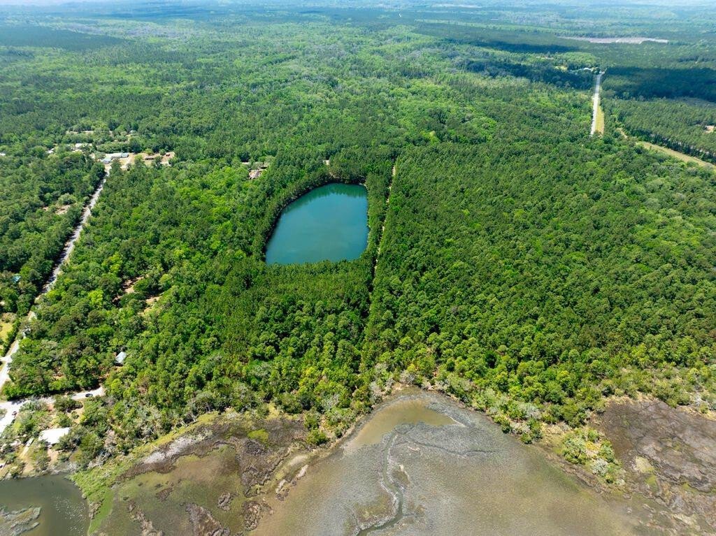 Land in Waverly, Georgia, United States 4 - 17910416