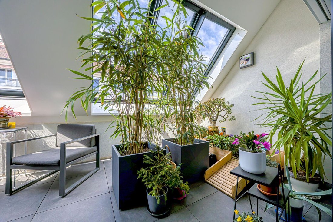 Appartement à Galbert, Annecy, France 5 - 17812900