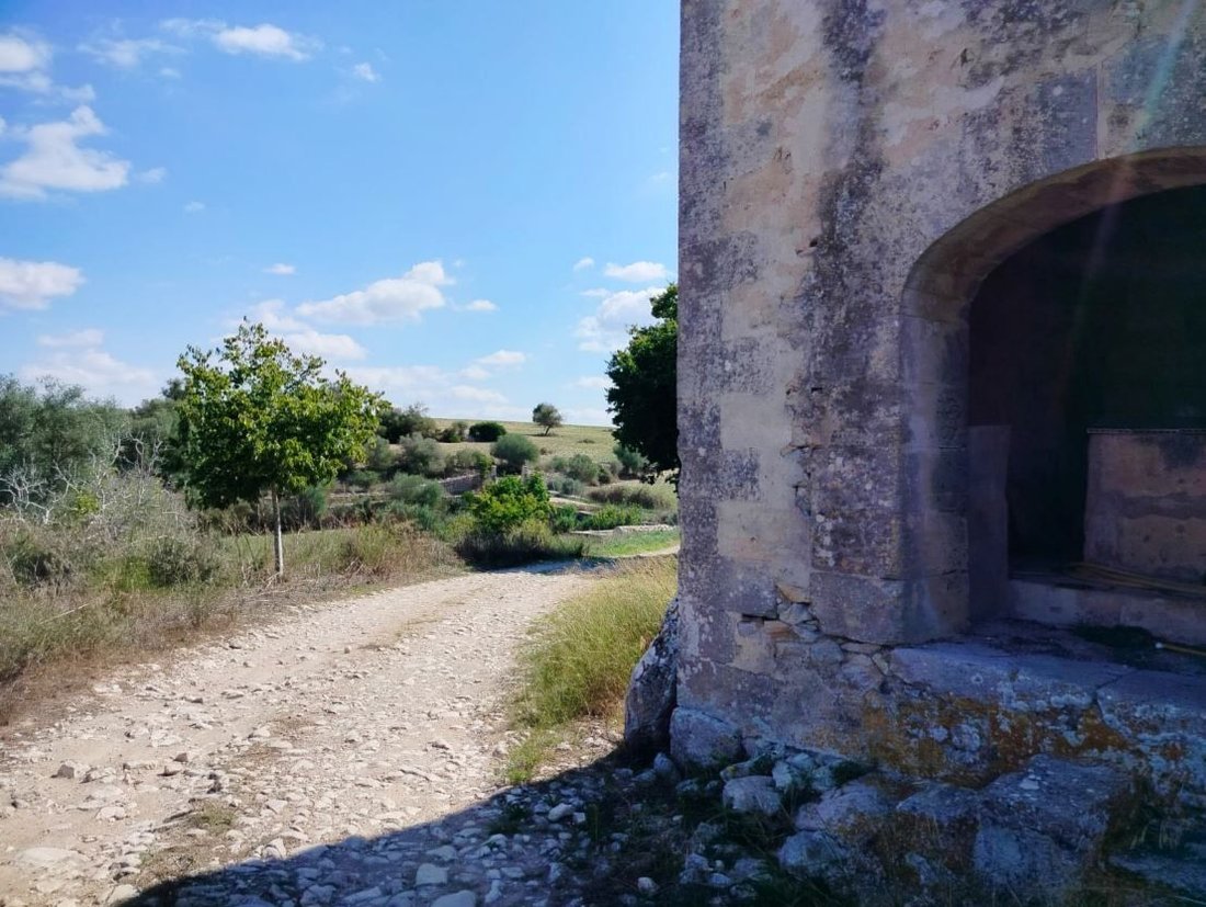 Land in Nou Llevant, Palma, Balearic Islands 2 - 17936930
