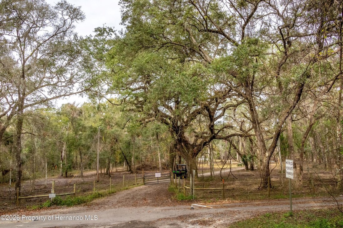 Land in South Brooksville, Florida, United States 1 - 17930558