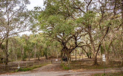 Land in South Brooksville, Florida, United States 1