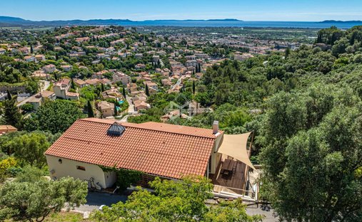 Villa in Hyeres, Provence-Alpes-Côte d'Azur, France 1