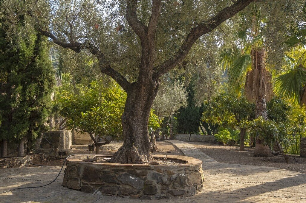 House in Sayalonga, Andalusia, Spain 3 - 17933530