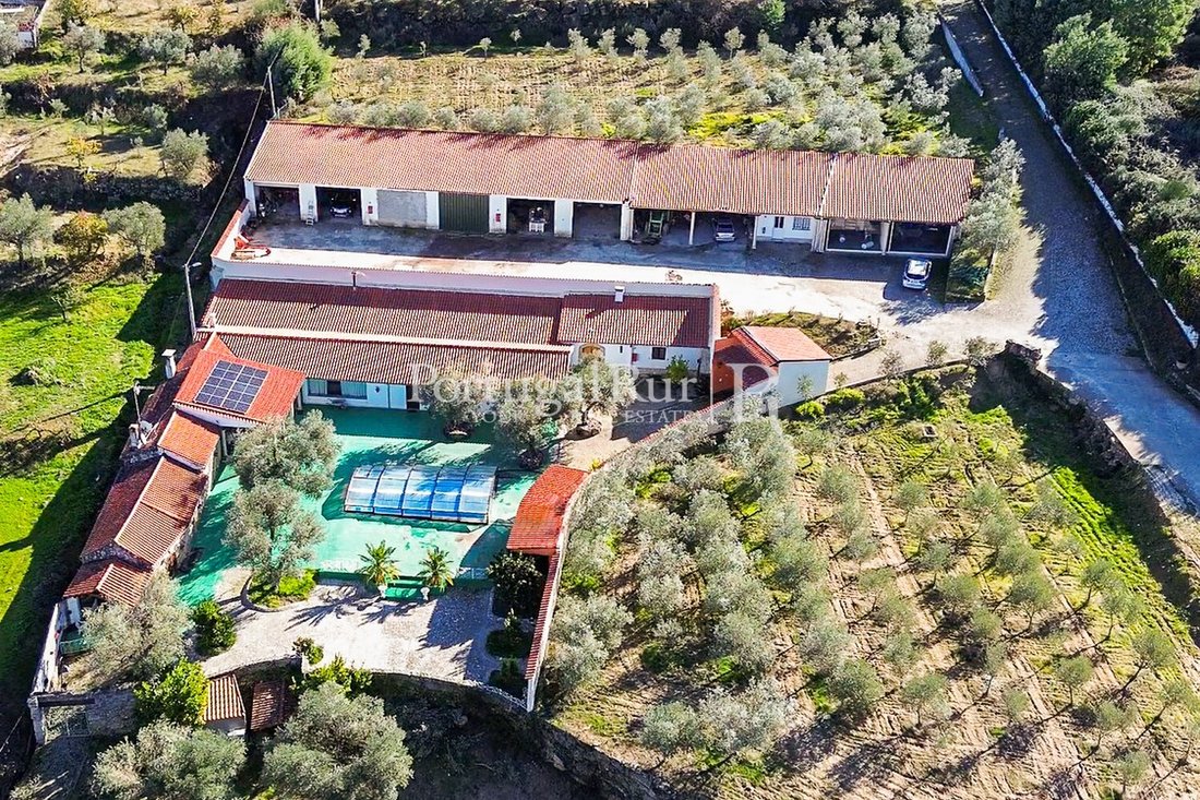 Finca in Belmonte e Colmeal da Torre, Castelo Branco District, Portugal 4 - 17937718