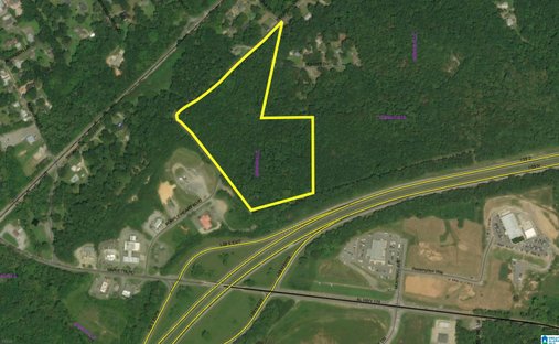 Land in Springville, Alabama, United States 1
