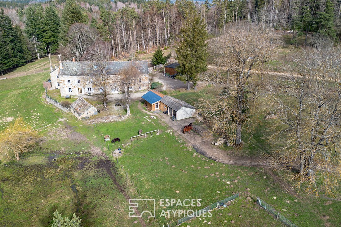 Villa in Le Chambon-sur-Lignon, Auvergne-Rhône-Alpes, France 3 - 17935273