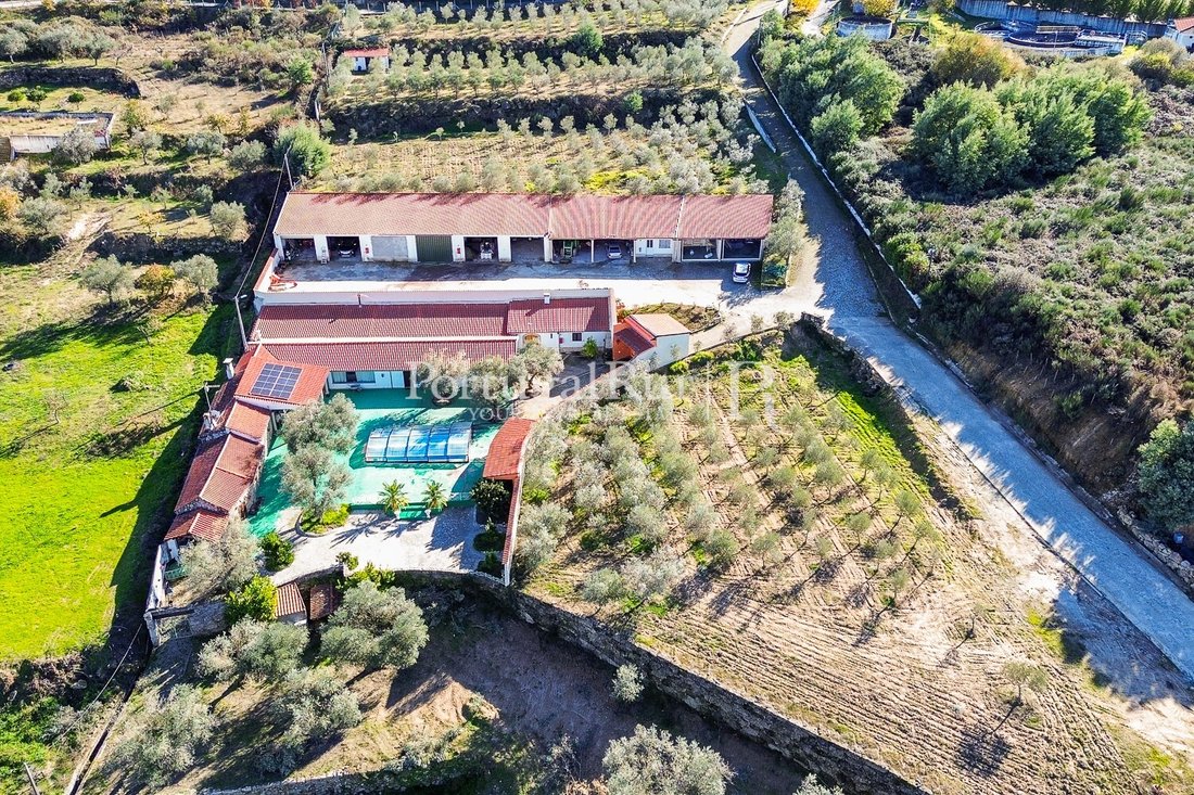 Finca in Belmonte e Colmeal da Torre, Castelo Branco District, Portugal 3 - 17937718